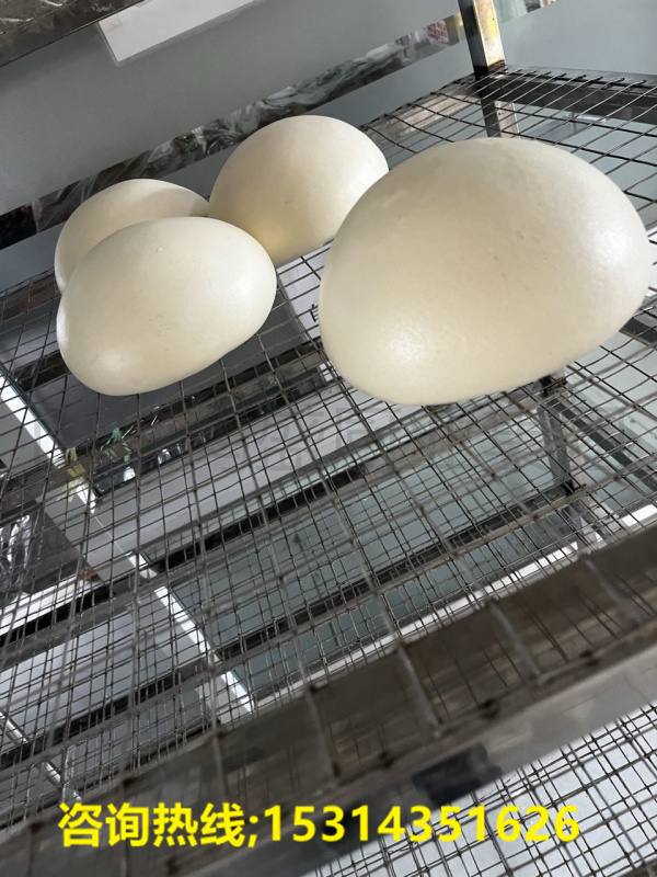 醒发馒头认准山东鸿盛厨业集团